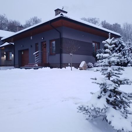 Domek Nad Zalewem Janow Podlaski Luaran gambar